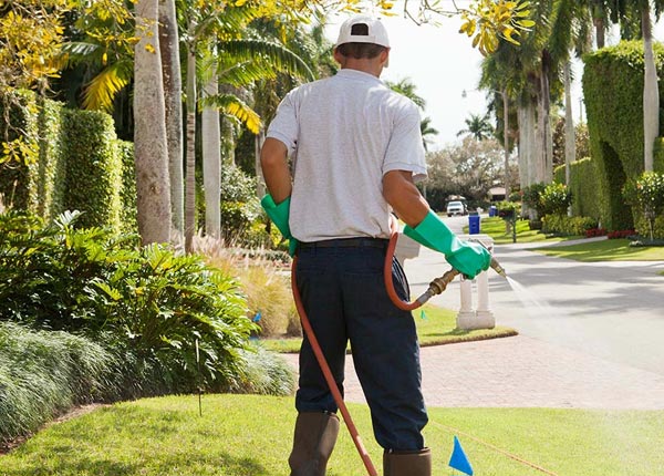 About Ninety Six SC Pest Control Pros